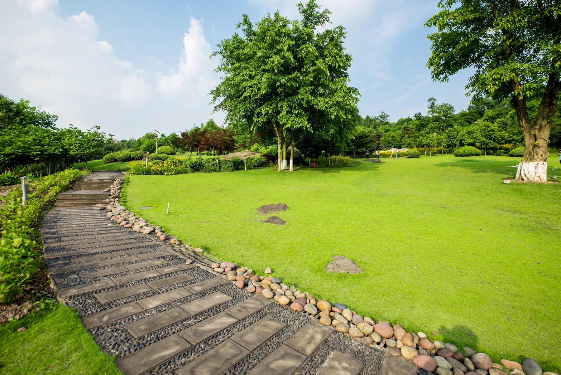 Lawn cared for by Lawn Bodyguard LLC