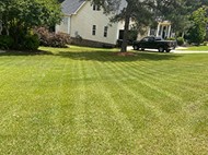 Freshly mowed lawn with clean mowing lines