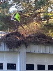 Crew member clearing pine straw from a roof