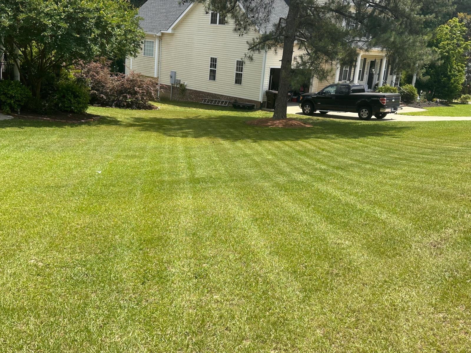 Freshly mowed lawn with clean stripes in front of a home